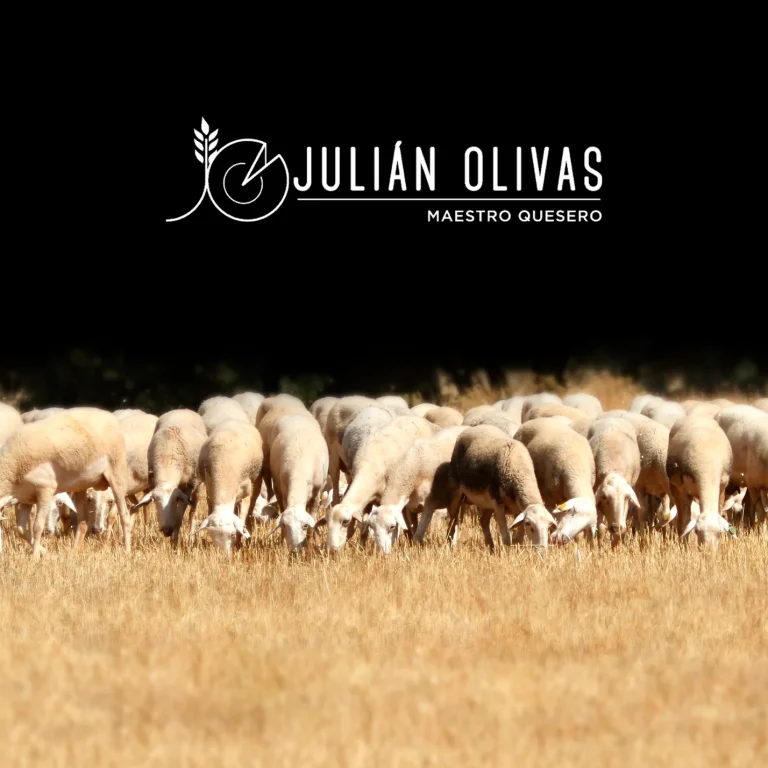 julian-olivas-beneficios-leche-oveja