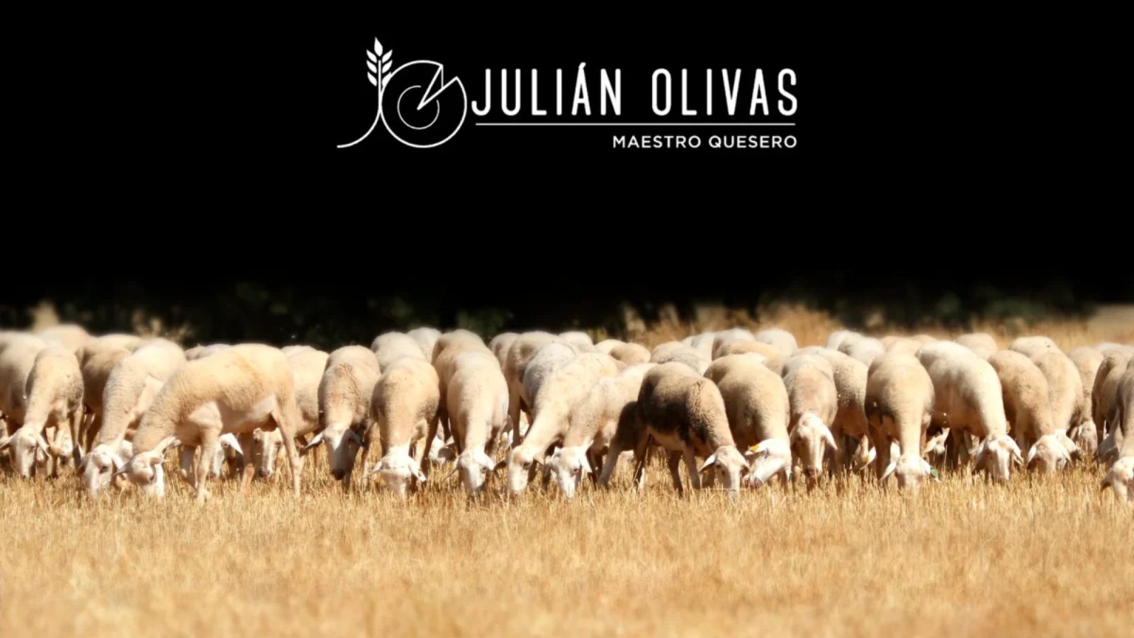 julian-olivas-beneficios-leche-oveja