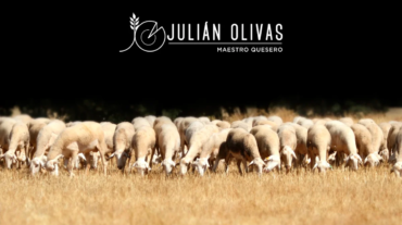 julian-olivas-beneficios-leche-oveja