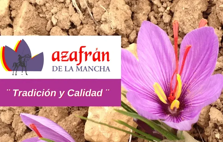 Azafran De La Mancha Tradiccion Y Calidad