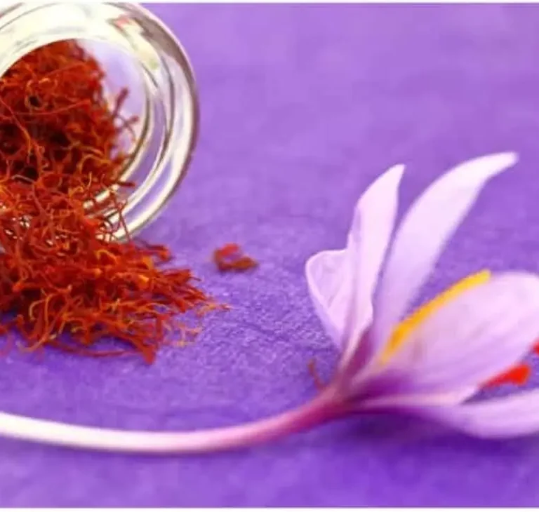 azafrán de la mancha